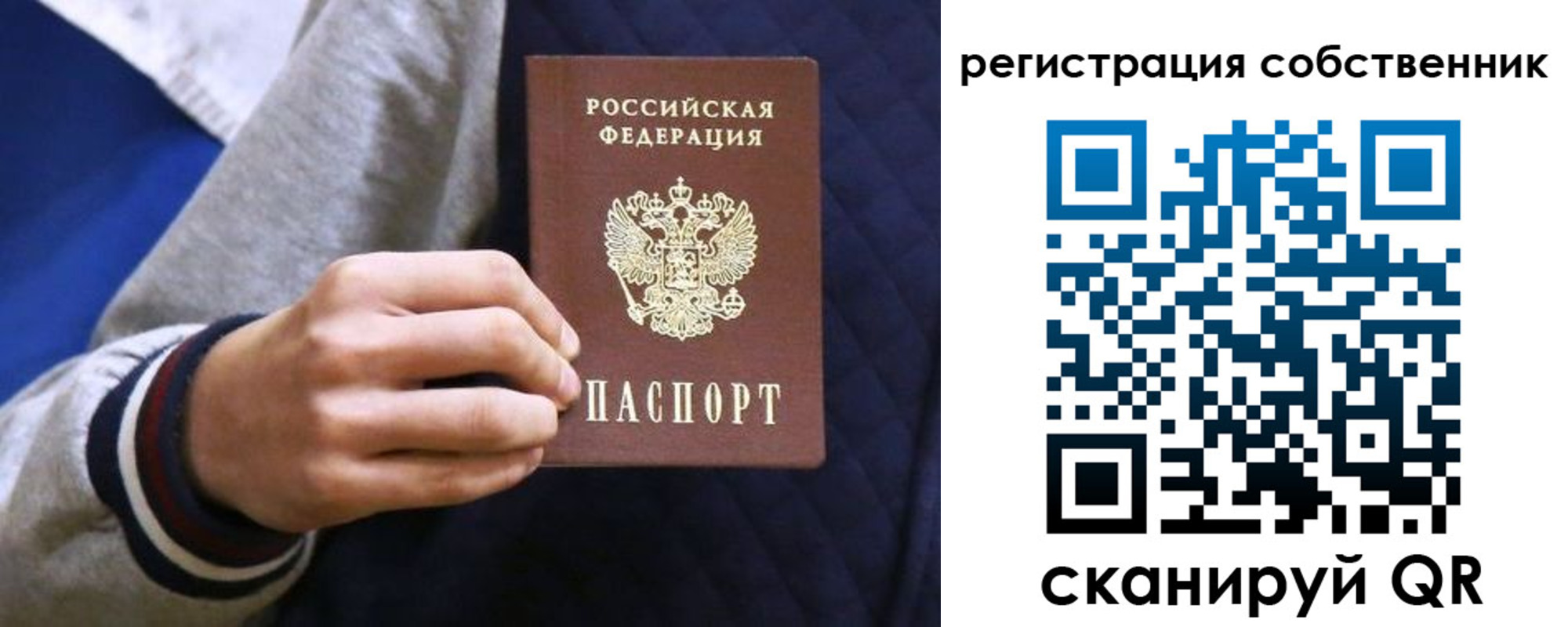прописка поиск в Невеле